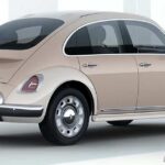 fusca_chines