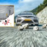 Falling stone on the road