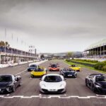 399114_990800_13602_mclarencelebratesadecadegoodwoodmembersmeeting