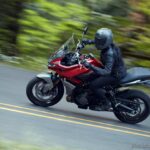 Tiger-Sport-660–BA8I7842-PB