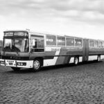 1978_articulado