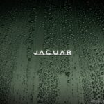 16. Jaguar Classic_E-TYPE 60 COLLECTION_VIAGEM GENEBRA_Badge Jaguar