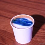 Selficcino