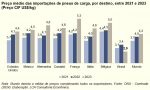 Gráfico 1 – Pneus