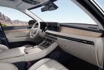 HYUNDAI PALISADE (17)