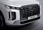 Hyundai Palisade 3