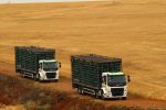Lar Cooperativa, Volvo Caminhões, transporte de grãos, logística agroindustrial, sustentabilidade, modernização frota-1