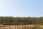 Novos hexatrens Volvo FMX 6×6 para 250 toneladas