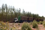 Novos hexatrens Volvo FMX 6×6 para 250 toneladas-2
