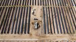energia solar, Mercedes-Benz, Raízen Power, sustentabilidade, neutralidade de CO2, Acordo de Paris – (1)