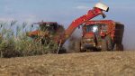 Case IH Austoft 9000 Etanol em campo com trator de apoio