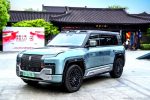Jornada BYD 2025 – Yangwang, Bao, Denza – (7)