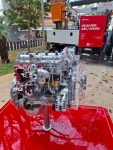 Iveco, Roadmap Tecnológico, 2030, Descarbonização, Biometano, Eletrificação, Welder Souza – (5)