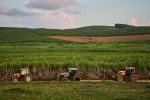 Valtra, Cana-de-Açúcar, Tratores, Agronegócio, Pernambuco, Mecanização – (2)