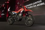 XR300L Special Edition(1)