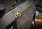 Jeep, Ducking, patinho de borracha, comunidade Jeep, Jeep Nature Expedições –