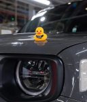 Jeep, Ducking, patinho de borracha, comunidade Jeep, Jeep Nature Expedições – (1)
