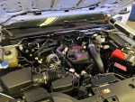Ford, Ranger XL, Ford Pro, picapes médias, veículos comerciais – (5)