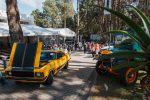 carde, leilao, carros classicos, opala ss, passat pointer, campos do jordão – (2)