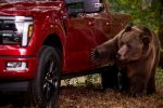 ford f-150, segurança automotiva, conectividade, ford security package, picapes, tecnologia automotiva – (3)