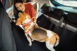 mopar, stellantis, manutenção, viagens, segurançaautomotiva, férias – (4)